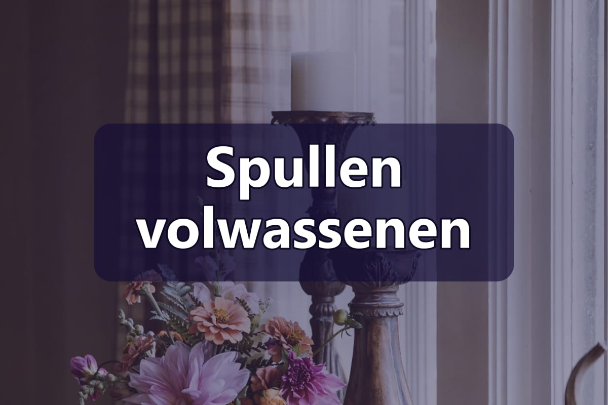 Spullen volwassenen